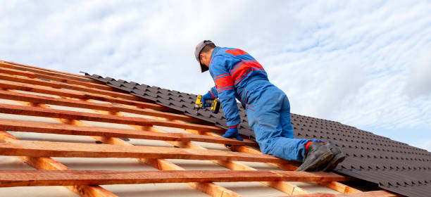 Best Sheet Metal Roofing  in Savannah, MO