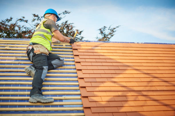 Best Roof Coating and Sealing  in Savannah, MO